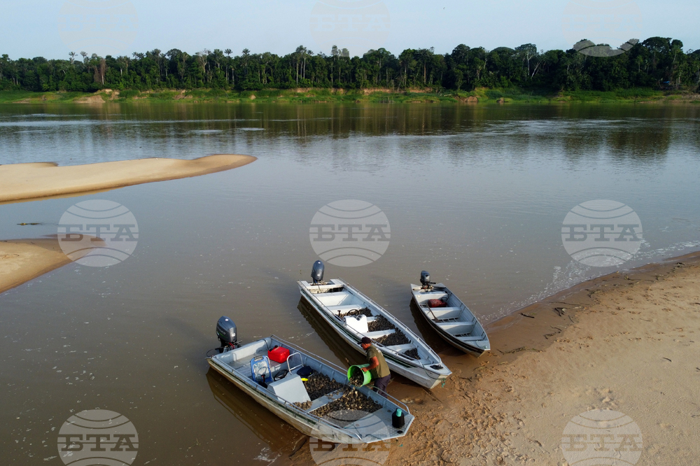 Brazil Turtles Released