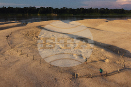 Brazil Turtles Released