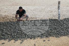 Brazil Turtles Released