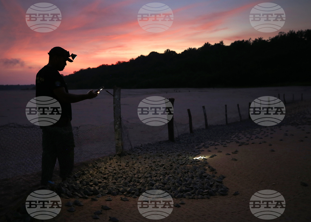 Brazil Turtles Released