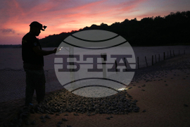 Brazil Turtles Released