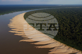 Brazil Turtles Released