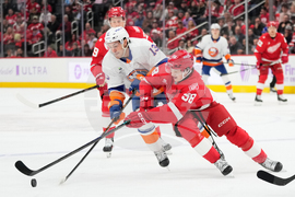 Islanders Red Wings Hockey