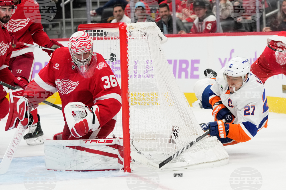 Islanders Red Wings Hockey