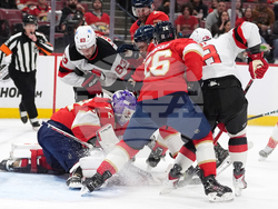 Devils Panthers Hockey