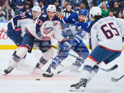 Blue Jackets Maple Leafs Hockey