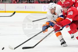 Islanders Red Wings Hockey