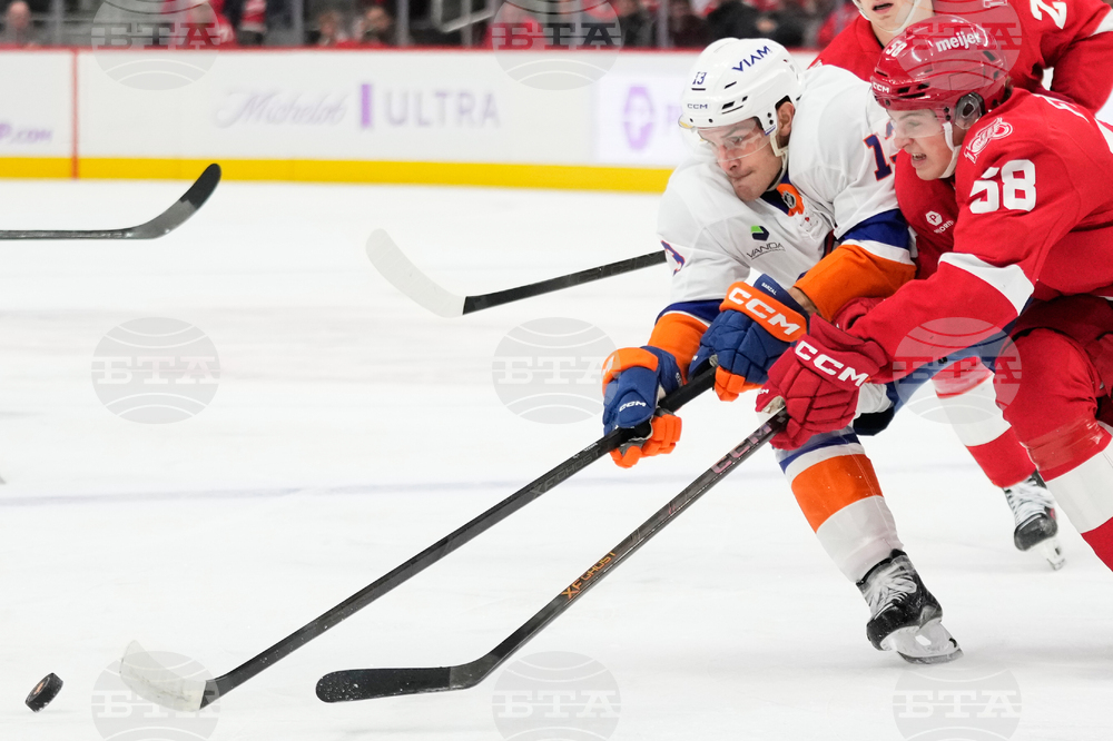 Islanders Red Wings Hockey