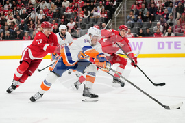 Islanders Red Wings Hockey