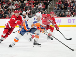 Islanders Red Wings Hockey