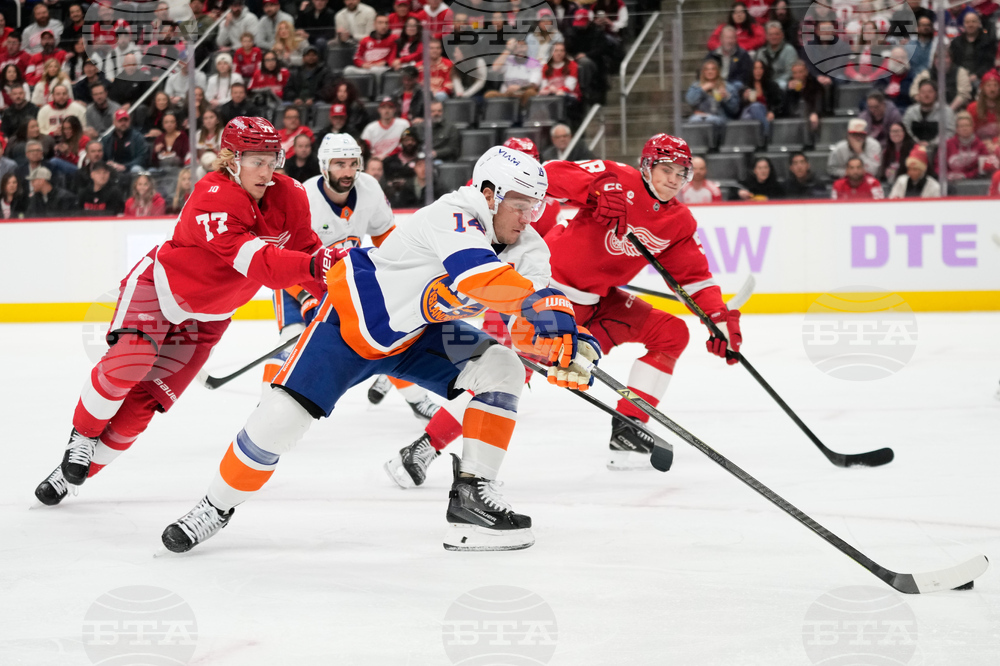 Islanders Red Wings Hockey
