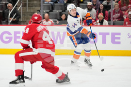 Islanders Red Wings Hockey