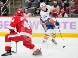 Islanders Red Wings Hockey