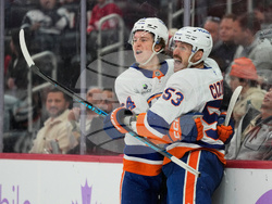 Islanders Red Wings Hockey