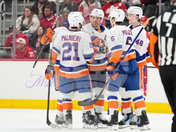 Islanders Red Wings Hockey