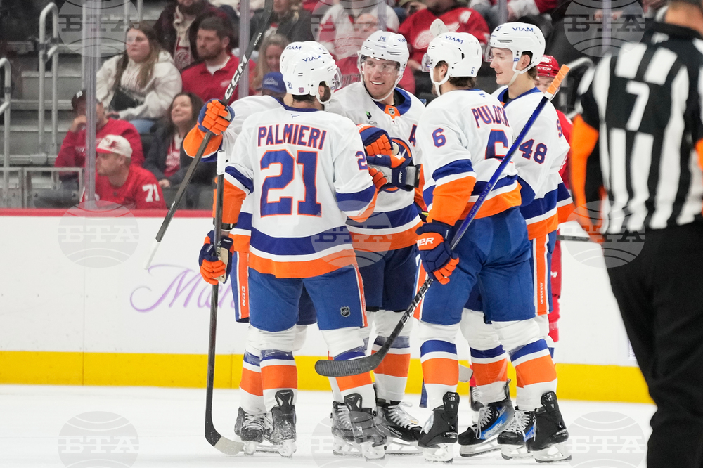 Islanders Red Wings Hockey