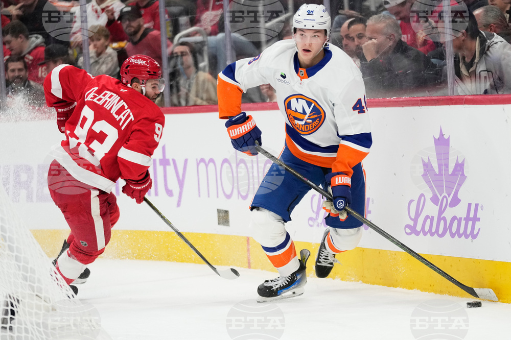 Islanders Red Wings Hockey
