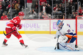 Islanders Red Wings Hockey