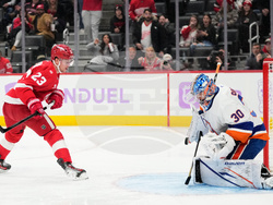 Islanders Red Wings Hockey