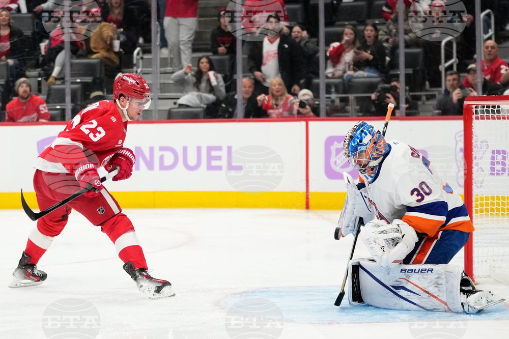 Islanders Red Wings Hockey