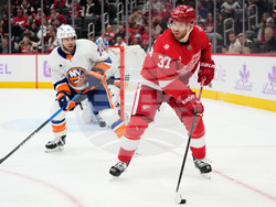 Islanders Red Wings Hockey