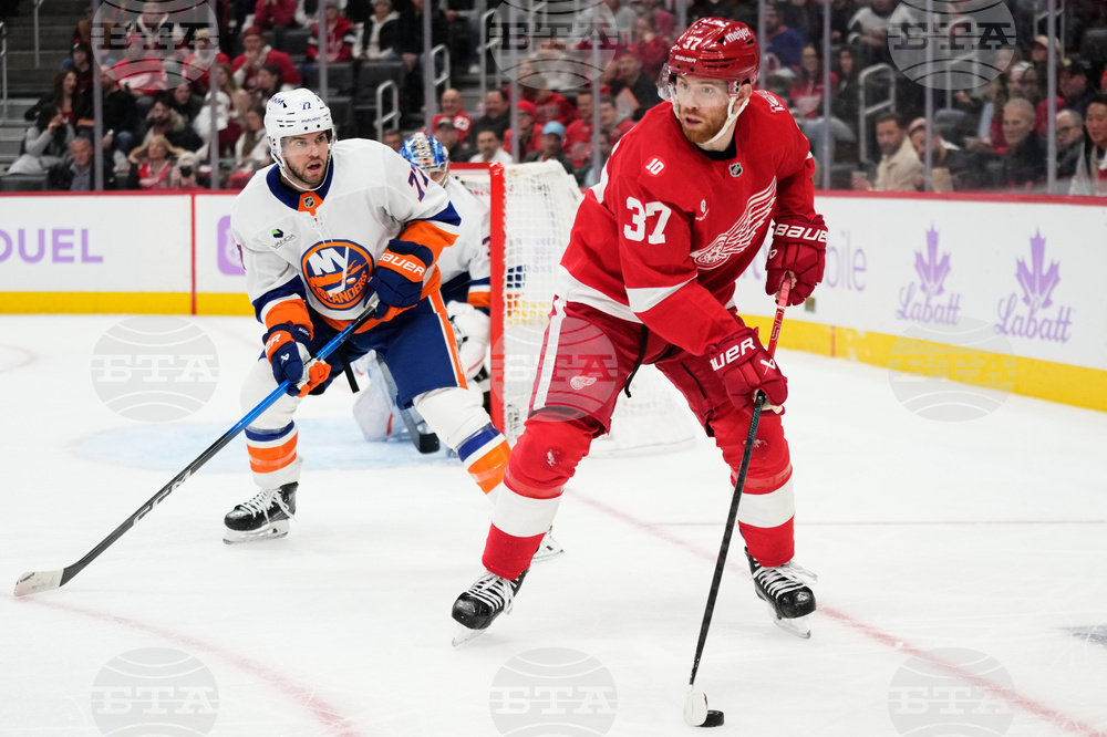 Islanders Red Wings Hockey