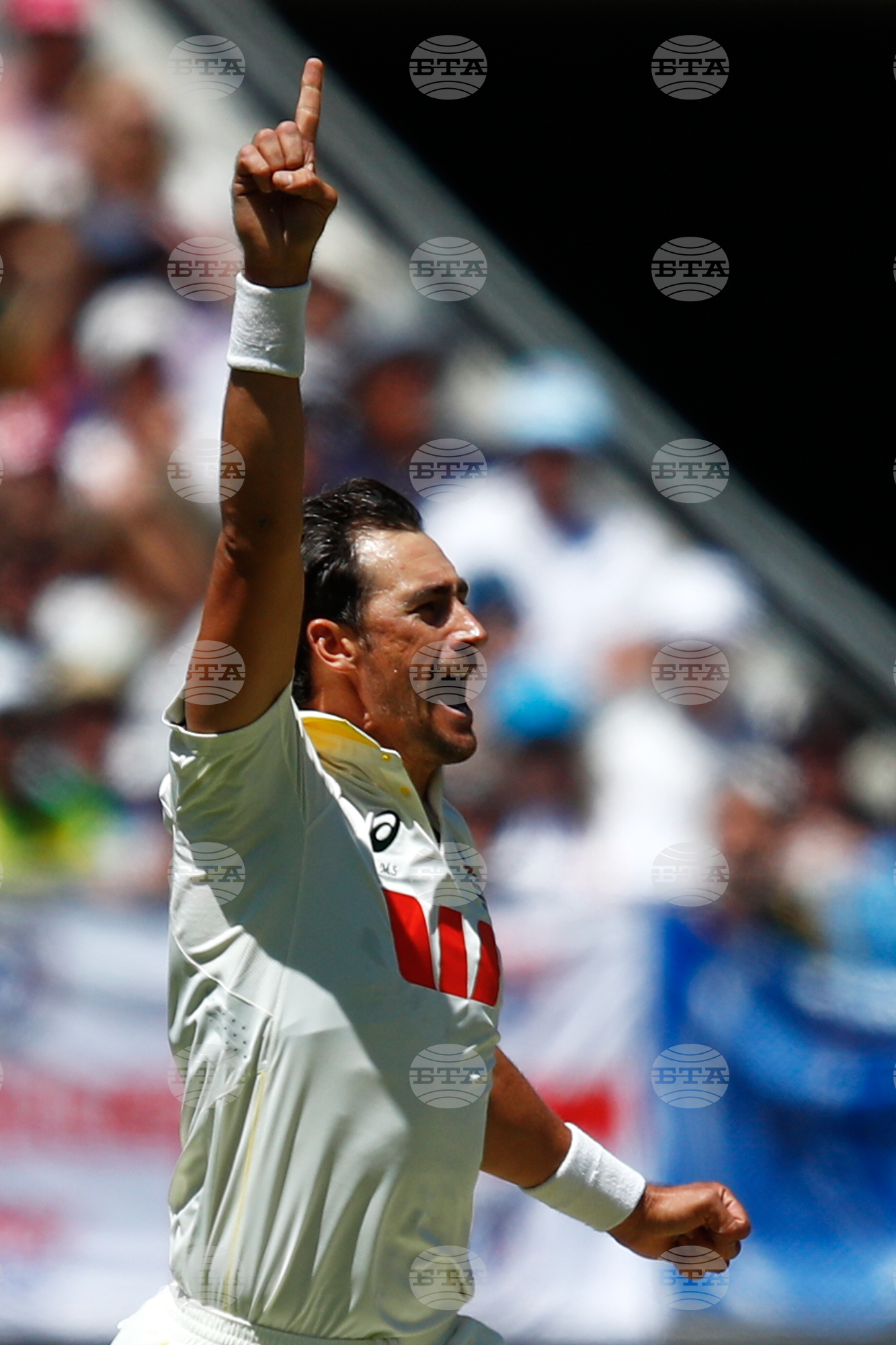 Australia England Cricket