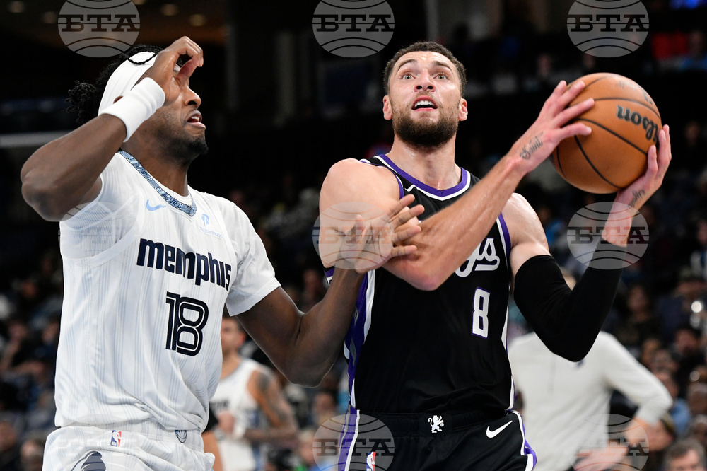 Kings Grizzlies Basketball