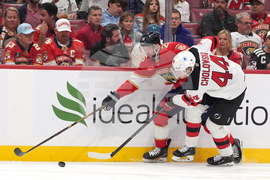 Devils Panthers Hockey