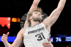 Kings Grizzlies Basketball