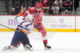 Islanders Red Wings Hockey