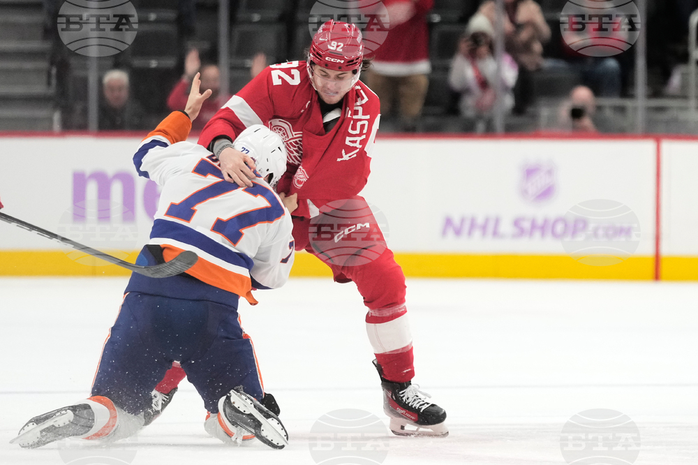 Islanders Red Wings Hockey