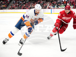 Islanders Red Wings Hockey