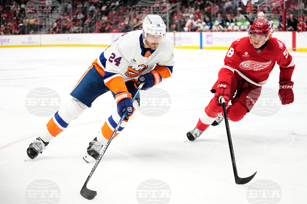 Islanders Red Wings Hockey