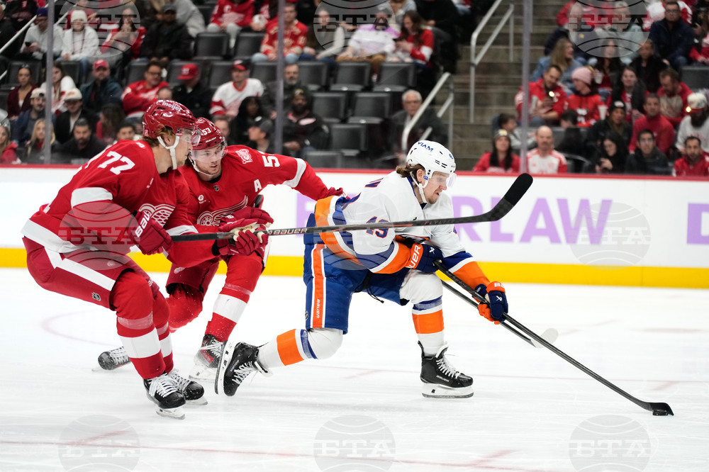 Islanders Red Wings Hockey