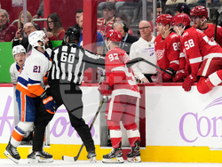 Islanders Red Wings Hockey