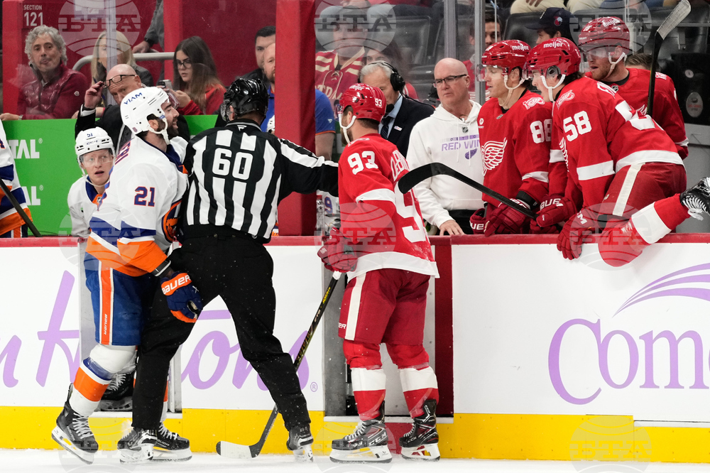Islanders Red Wings Hockey