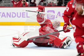 Islanders Red Wings Hockey