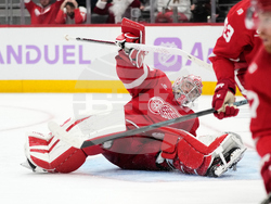 Islanders Red Wings Hockey