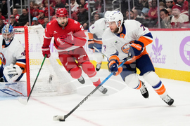 Islanders Red Wings Hockey