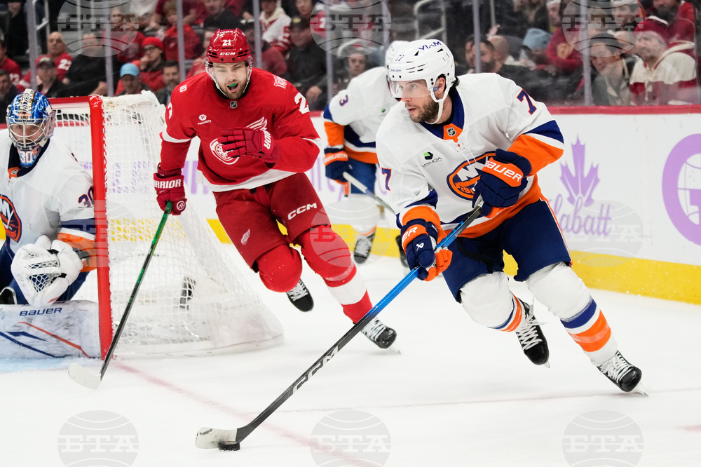Islanders Red Wings Hockey