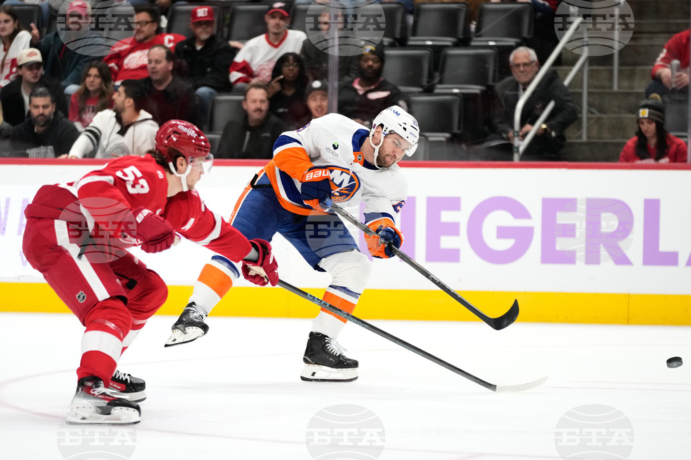 Islanders Red Wings Hockey