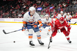 Islanders Red Wings Hockey