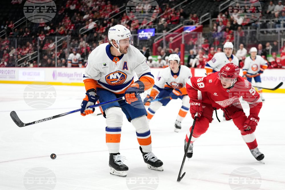 Islanders Red Wings Hockey