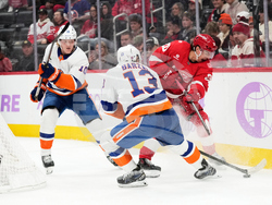 Islanders Red Wings Hockey