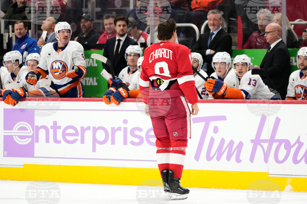 Islanders Red Wings Hockey