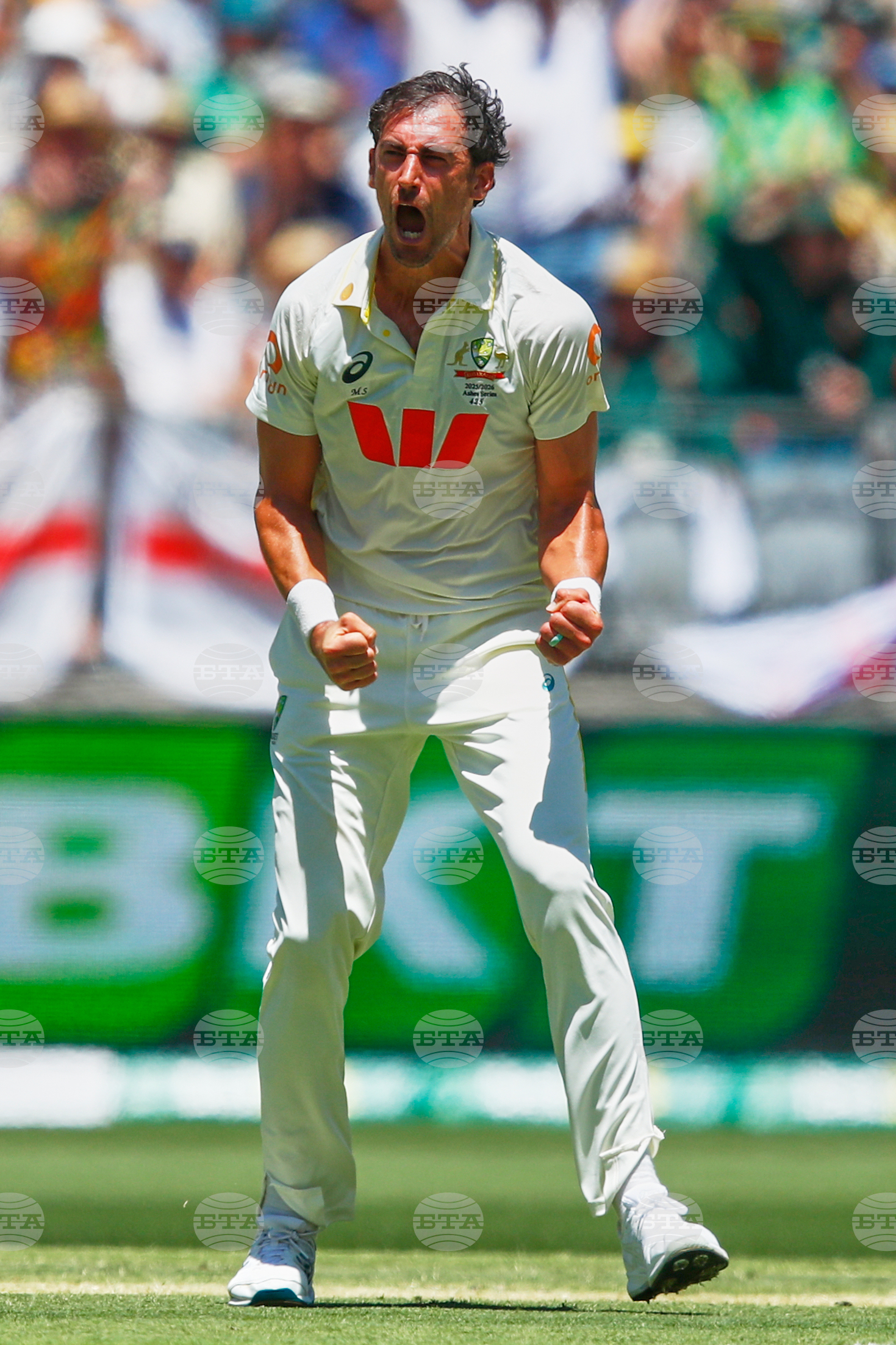 Australia England Cricket