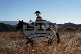 TV - High Horse: The Black Cowboy