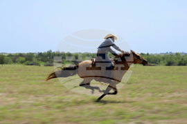 TV - High Horse: The Black Cowboy