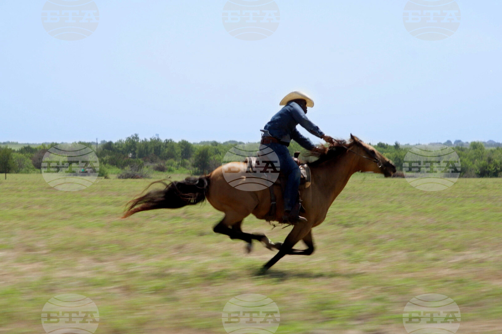 TV - High Horse: The Black Cowboy